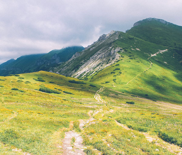 安全的自助平台推荐的在线手机号轰炸软件